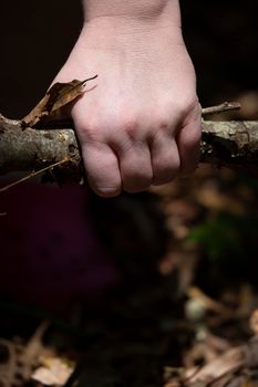 Woman's hand grabbing stick clutter from leaves in a yard