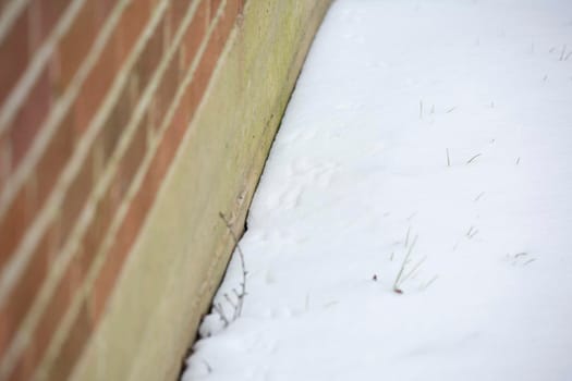 Bird tracks in winter precipitation near a red brick house