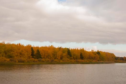 Nice autumn landscape with lake