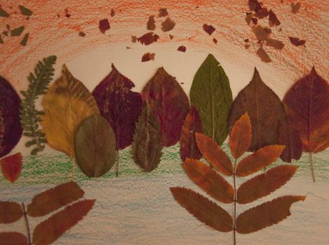 Colorful autumn leaves are pasted on paper. Top view. Copy space