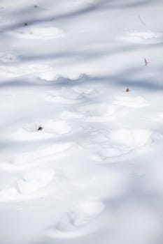 Human tracks leading across a snow-covered ground, creating multiple paths