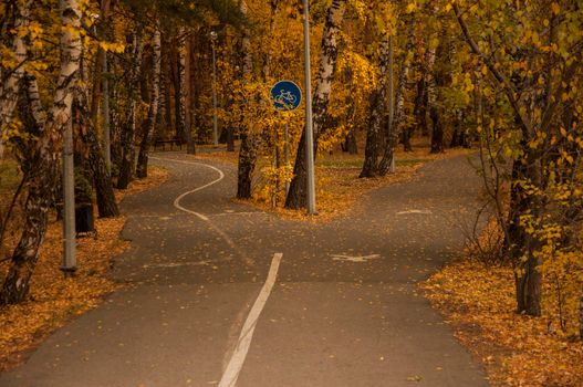 the crossroads forest road divides from one in two roads which each leads in different directions, autumn park