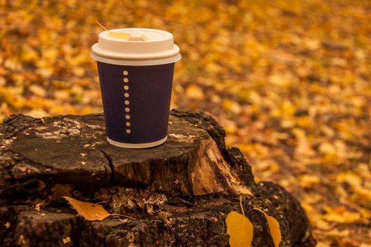 Disposable coffee or tea mug on a old stump in the autumn park. Warm up with aromatic coffee.