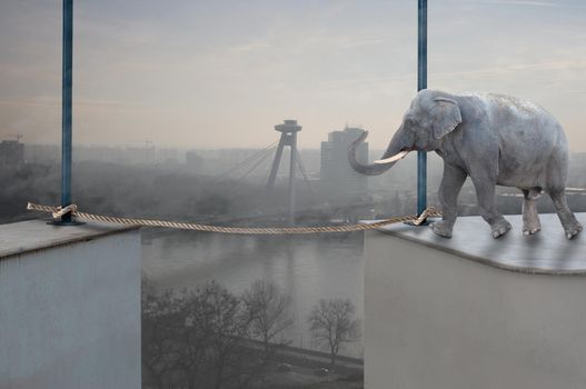 An elephant would walk safely on a hanging rope. The city on background. Courage and risk concept.