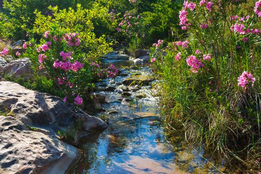 Beautiful creek in Penteli mountain near Athens at Greece.