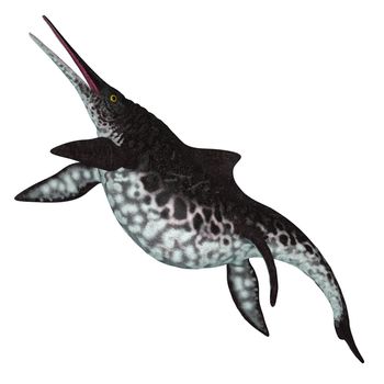 Shonisaurus was a carnivorous marine Ichthyosaur that lived in the seas of Nevada, USA during the Triassic Period.
