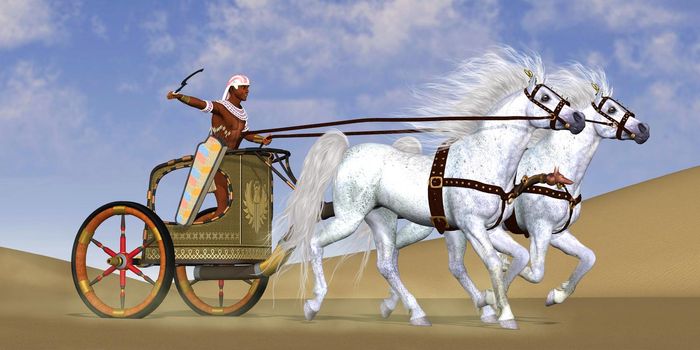 An Egyptian warrior rides in a chariot with a team of Arabian horses to a battle in ancient Egypt.