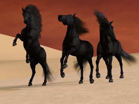 Three Friesian black stallions stay together in a desert landscape.