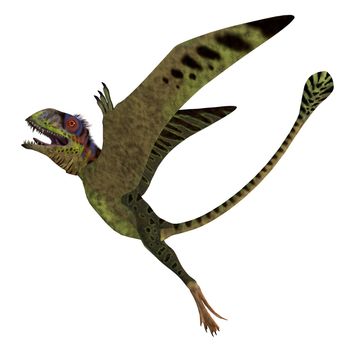 Peteinosaurus was a carnivorous pterosaur that lived in Italy during the Triassic Period.