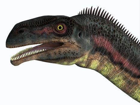 Plateosaurus was a herbivorous prosauropod dinosaur that lived in Europe during the Triassic Period.