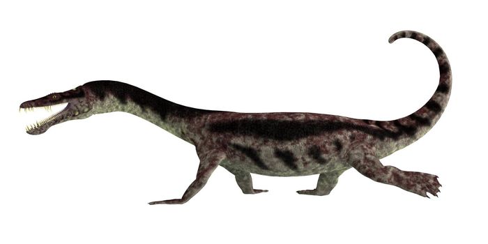 Nothosaurus was a carnivorous marine reptile that lived in the seas during the Triassic Period.
