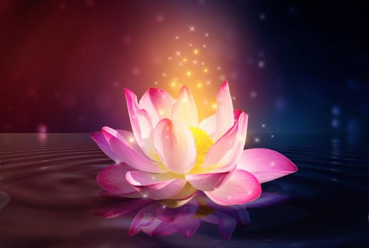 lotus Pink light purple floating light sparkle purple background