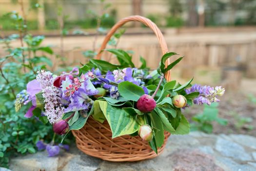 Basket with fresh spring cut flowers in the garden. Nature, spring, beauty, bouquet, floristry, gardening concept