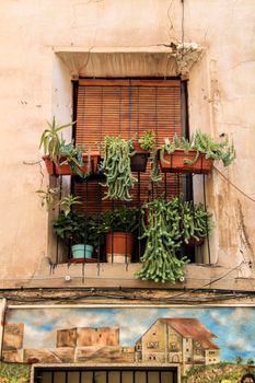 Novelda, Alicante, Spain- September 18, 2021: House facade with rusty balcony with a lot of pots and wooden blind in Novelda, Spain