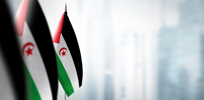 Small flags of Sahrawi on a blurry background of the city.