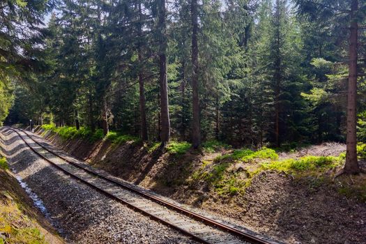 A picturesque railway in the forest in a mountainous area