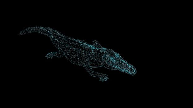3d illustration - wireframe of crocodile  on black background