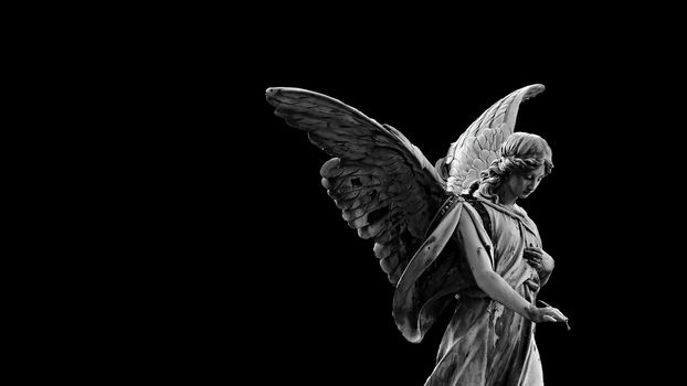 3d illustration - woman angel with wings on black background
