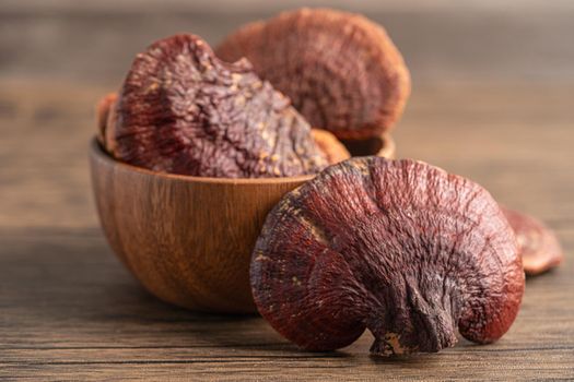 Dried lingzhi mushroom isolated on white background with clipping path.