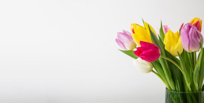 vase with tulips close up. Beautiful photo