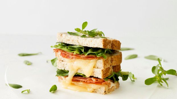 fresh toast with cheese vegetables. High resolution photo