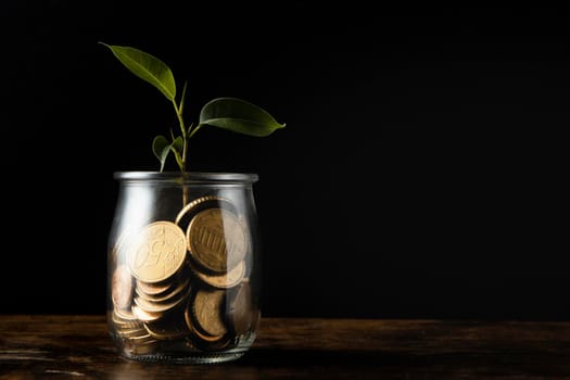 front view plant growing from jar with coins copy space. High resolution photo