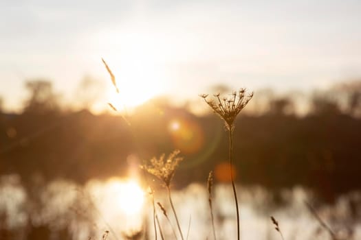 peaceful view morning light. Beautiful photo