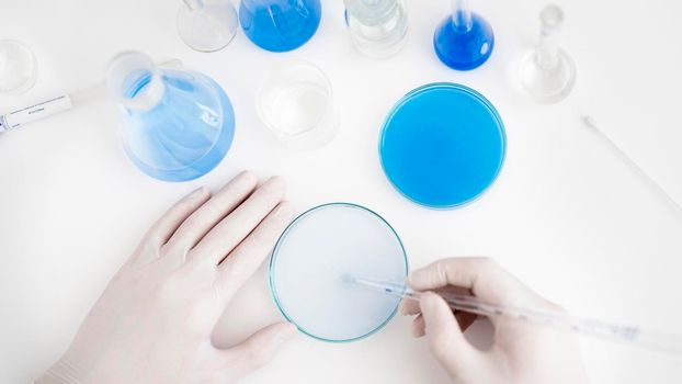 close up hands with pipette petri dish. Beautiful photo