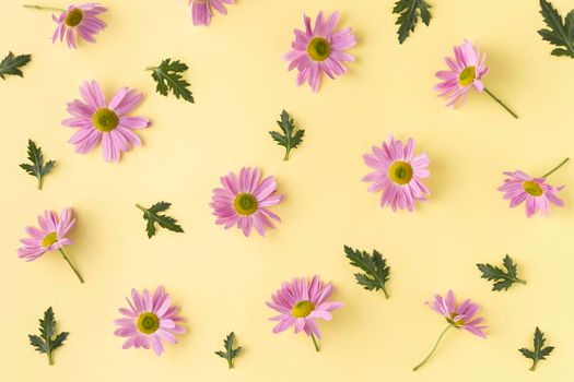 top view blooming flowers. High resolution photo