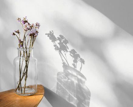 abstract minimal concept flowers shadows. Beautiful photo