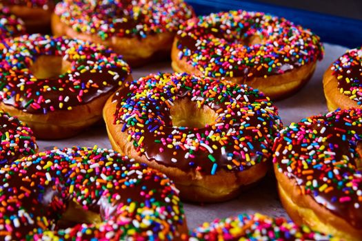 Image of Tray full of fresh baked yeast donuts with chocolate and colorful sprinkles