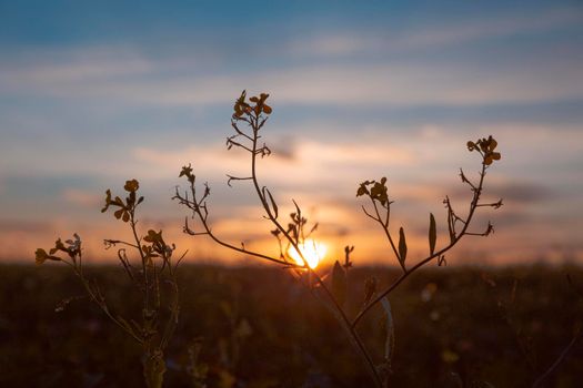 beautiful view morning light. High resolution photo