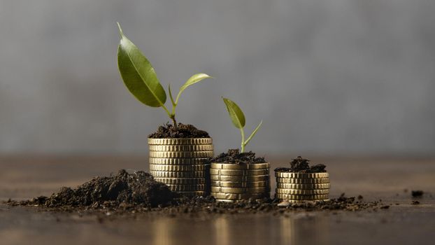 Stacked coins with dirt and plant Picture on . Resolution and high quality beautiful photo