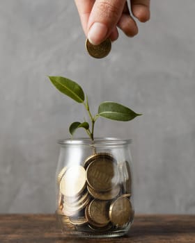 front view hand adding coin jar with plant other coins. Resolution and high quality beautiful photo