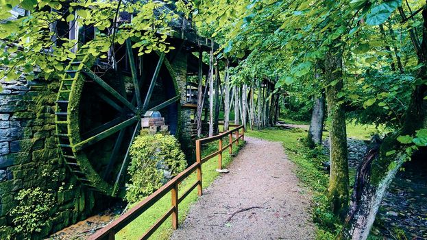 Image of Walking path by water mill in the forest