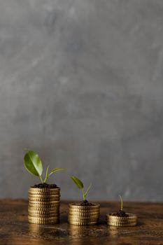 front view three stacks coins with plants copy space. Beautiful photo