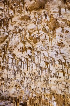 Image of Hundreds of small Stalactites hanging from flat cave ceiling