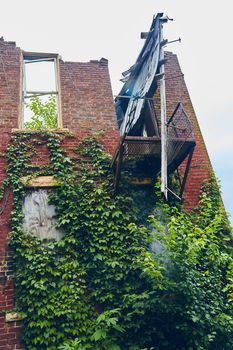 Image of Vertical of abandoned red brick building falling apart and covered in vines