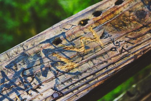 Image of Texture of wood railing covered in carvings