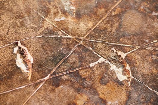 Image of Macro detail of burned hard drive with scratches