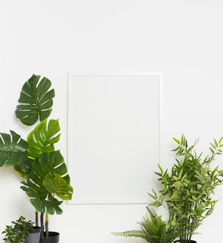 decorative plant with empty frame. Beautiful photo