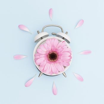 top view arrangement with pink daisy clock2. Resolution and high quality beautiful photo