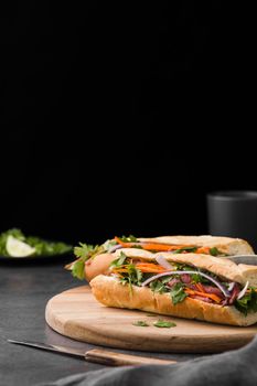 fresh sandwich with vegetables copy space. High resolution photo