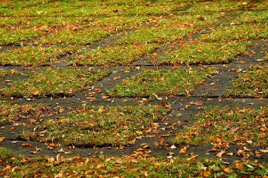 parking ground with lawn stones and fallen autumnal colored leaves