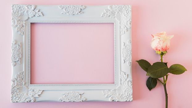white vintage frame fresh bloom. Beautiful photo