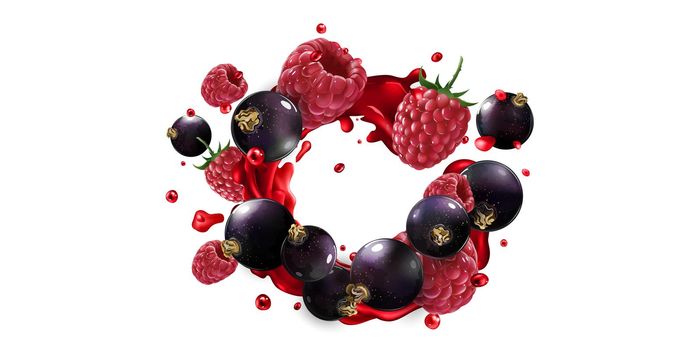Fresh black currant and raspberry in fruit juice splashes on a white background. Realistic style illustration.