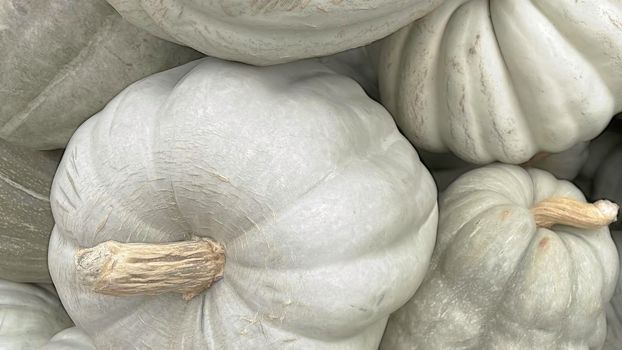 Close up winter squash in market stall