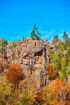Image of Tree atop tall cliff with fall colors in the trees at the cliff's base