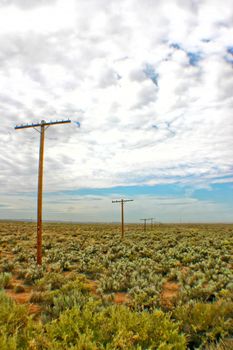 Image of Depth shot of telephone poles and lines stretching into the distance along a landscape of green scrub brush