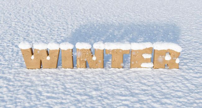 wooden letters with the word WINTER on snowy ground and falling snowflakes. 3d render